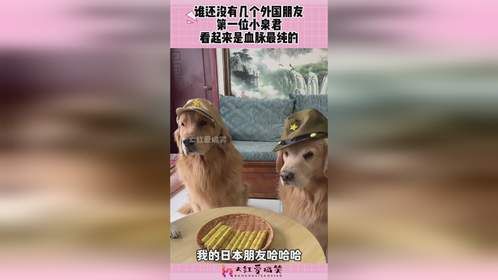 谁还没有几个外国朋友，第一位小泉君，看起来是血脉最纯的！