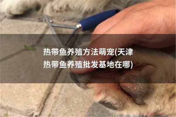 热带鱼养殖方法萌宠(天津热带鱼养殖批发基地在哪)