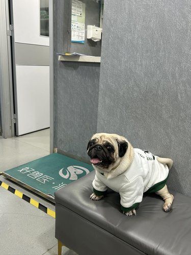 我爱我宠动物医院