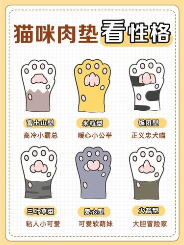 猫咪肉垫藏性格，你家主子啥样？