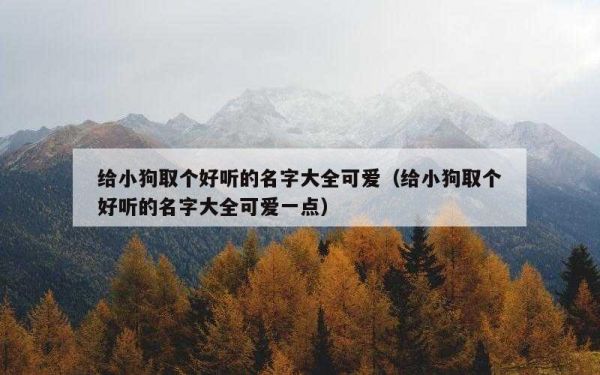 给小狗取个好听的名字大全可爱（给小狗取个好听的名字大全可爱一点）