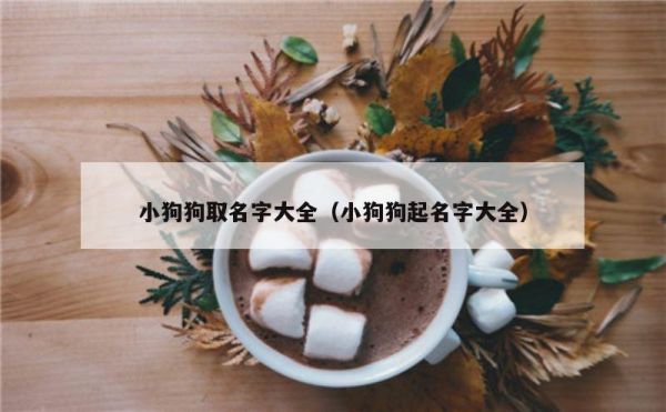 小狗狗取名字大全（小狗狗起名字大全）