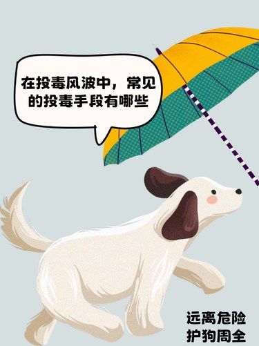 在投毒风波中，常见的投毒手段有哪些？
