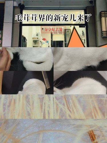 专业洗护享受时光