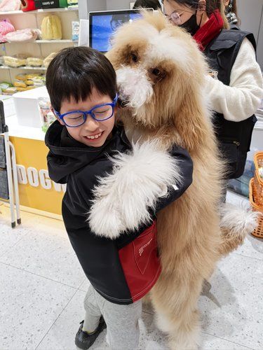 巨贵