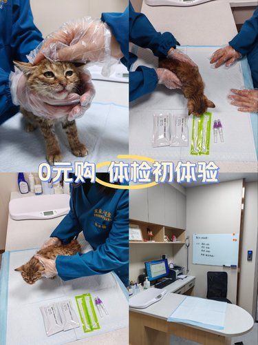 小脑斧的体检记录[种草]