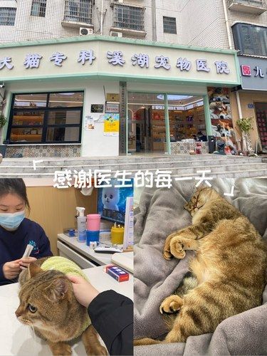 医术超赞 医心更美~