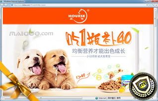 宠物用品清单，养宠必备攻略！