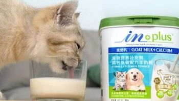麦德氏羊奶粉 幼犬幼猫通用 IN-PLUS宠物羊奶粉 高钙低敏配方-300g