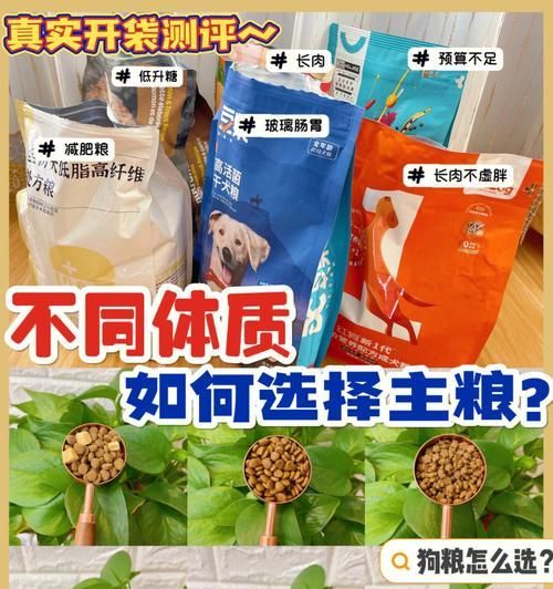 狗狗减肥狗粮有什么特点？如何选择适合的减肥狗粮？