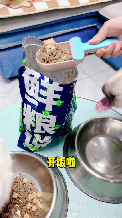 萌宠好物 狗粮活动来啦,没试过的趁着活动试一下……