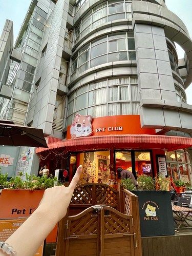 东莞的！小狗咖啡店也太可爱了[流泪]