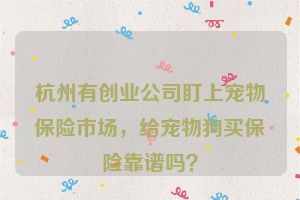 杭州有创业公司盯上宠物保险市场，给宠物狗买保险靠谱吗？