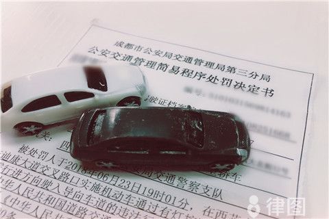 撞到宠物狗如何走保险
