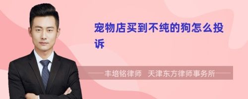 宠物店买到不纯的狗怎么投诉