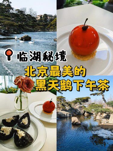 在北京‼️隐藏于临湖秘境中的诗意下午茶