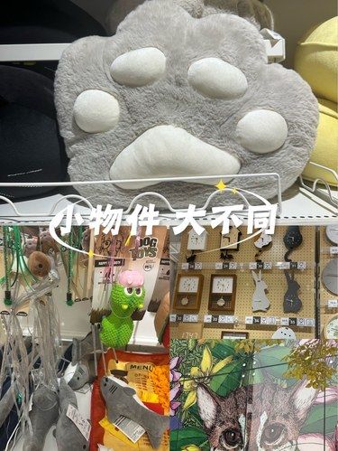 注意，这不是装饰品哟
