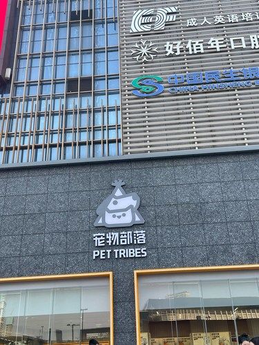 东莞宠物店新店开业，简直是宠物的天堂！ 