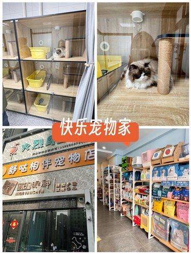 简直就是宠物之家！