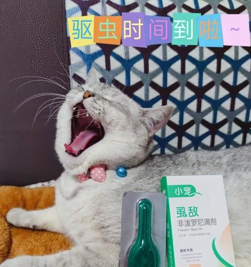 养宠物必知（做好猫咪体外除虫）