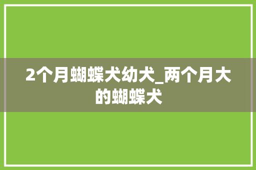 2个月蝴蝶犬幼犬_两个月大的蝴蝶犬