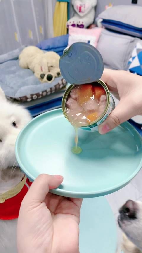 萌宠好物 除了吃狗粮，偶尔也可以给狗狗换换口味……