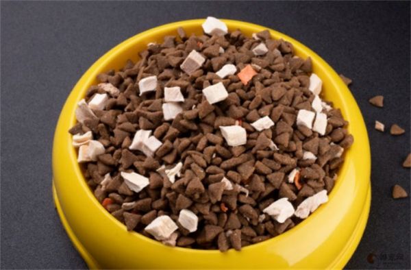 20克猫粮大概有多少粒 每天喂食量建议表