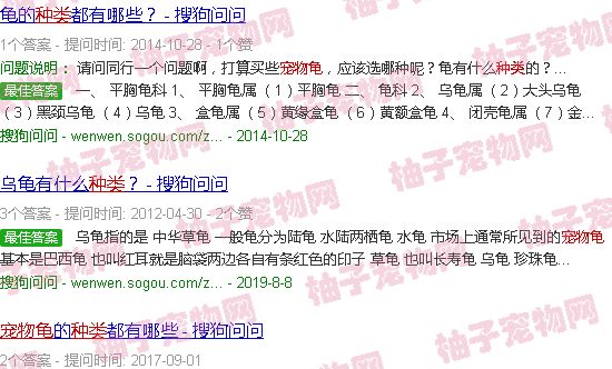 宠物龟品种