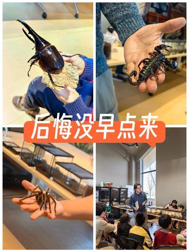 后悔！这么宝藏的地儿，没早点带娃来！