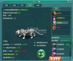 宠物训练基地，兔养传奇，点数解锁！