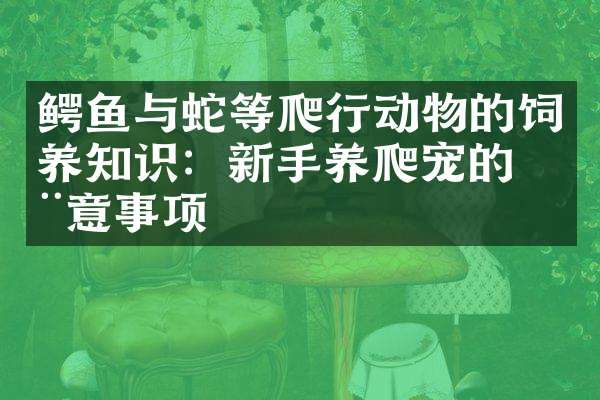 鳄鱼与蛇等爬行动物的饲养知识：新手养爬宠的注意事项