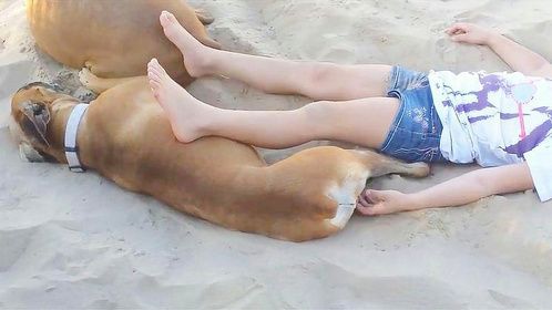 女孩使坏不停的蹭狗狗，下一秒搞笑的画面出现了，镜头记录全过程