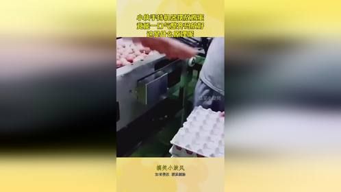 小伙手持机器摆放鸡蛋，竟能一口气整齐码放好，这是什么原理呢！