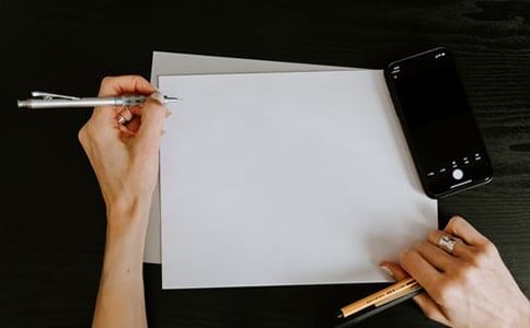 关于宠物作文合集5篇