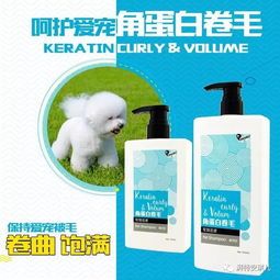 养宠秘籍：狗狗养护指南，十大易养宠物攻略！