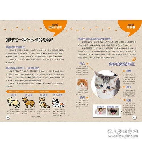 宠物营养师报考指南，宠物鸟养护秘籍！