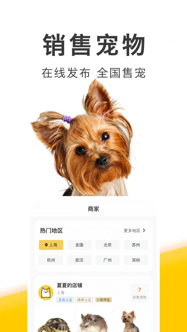 买只宠物正式版