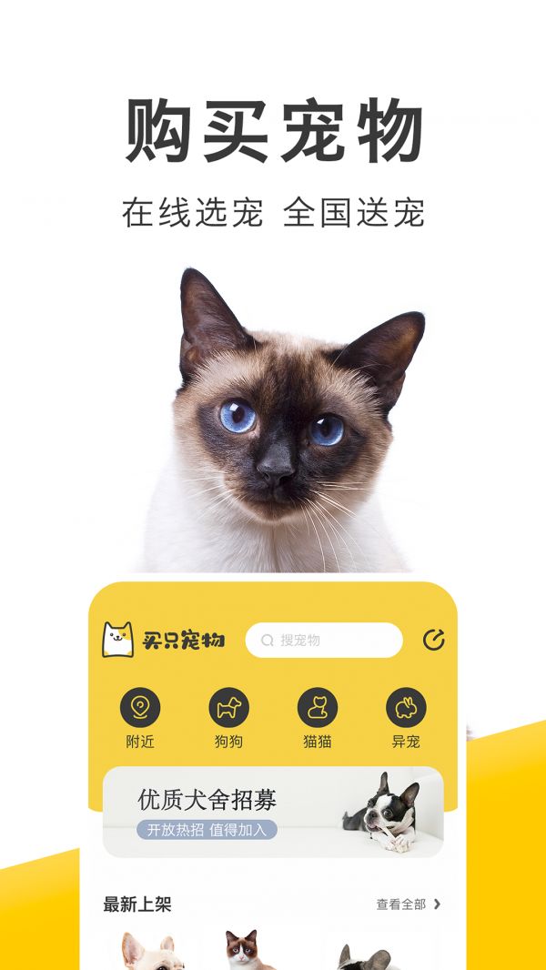 买只宠物正式版
