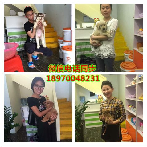 佛山周边哪里有靠谱的店：信息