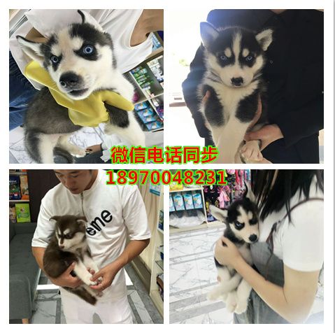 佛山周边哪里有靠谱的店：信息
