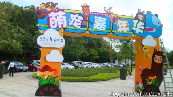 萌宠乐园，一站式宠物服务与新兴商业模式下的增长机遇