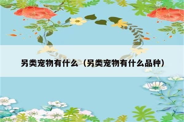 另类宠物有什么（另类宠物有什么品种）