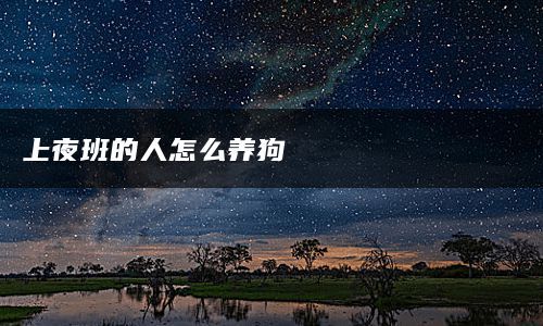 上夜班的人怎么养狗