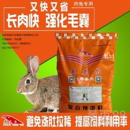 宠物小兔每日饲料量指南