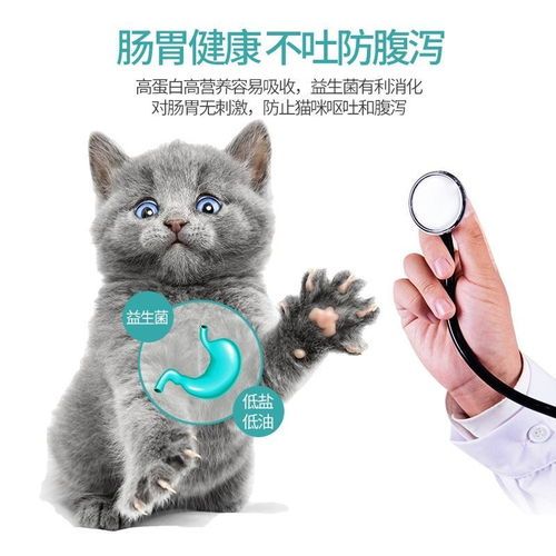 科学养幼猫，小猫成长指南！