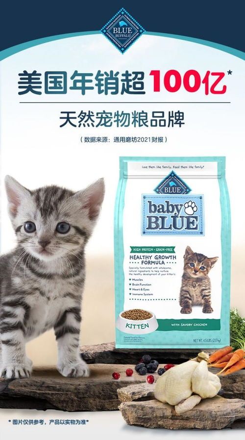 幼猫喂养攻略:科学营养,健康成长!