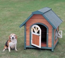 养犬攻略:宠物犬如何养出幸福感?