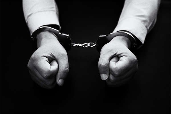 《什么宠物蛇不犯法：探寻合法的蛇类宠物之路》图1