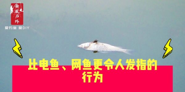 比起网鱼和电鱼来，这样的行为更令人发指，却没有办法制止