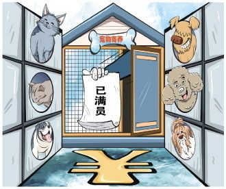 宠物寄养价格快赶上酒店仍一窝难求，专家就宠物运载提建议